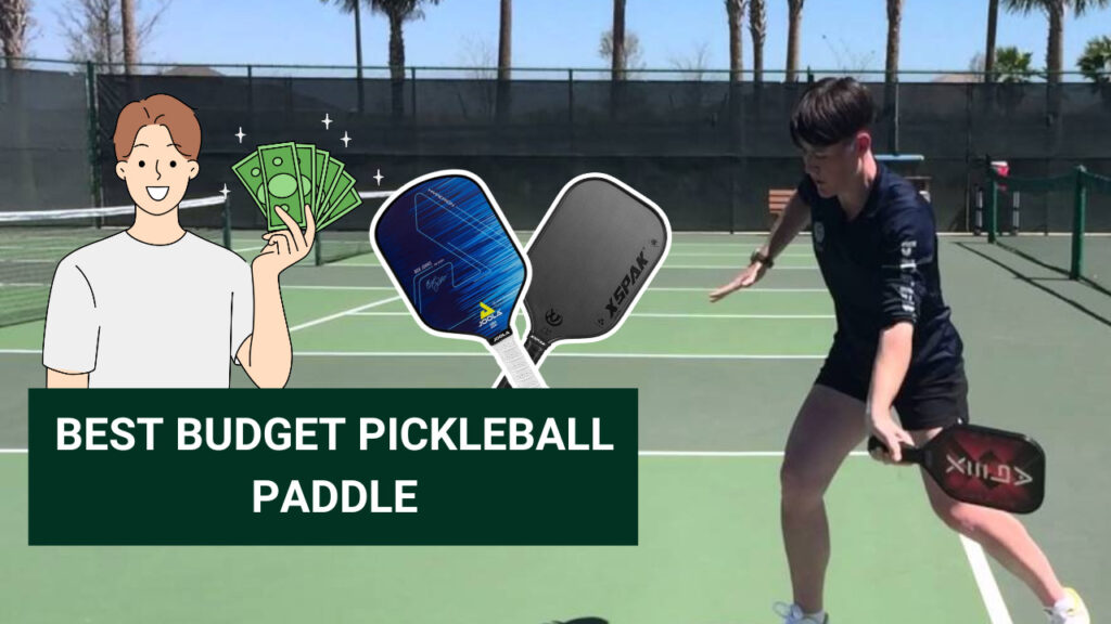Best budget pickleball paddles